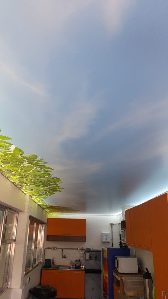 Instalação de lona temática no teto